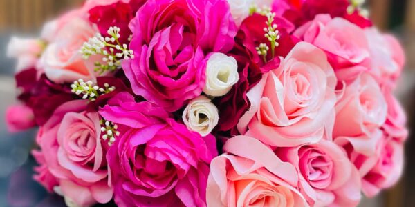 50c61073-b4e2-4f5e-a3e8-d634ece99a32